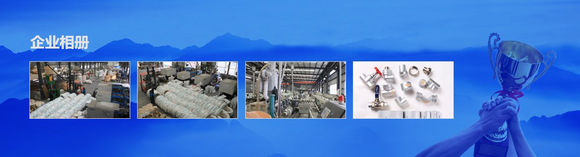 企業(yè)相冊(cè) 企業(yè)相冊(cè)